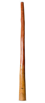 Tristan O'Meara Didgeridoo (TM399)